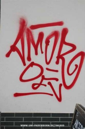 AMOR DFV