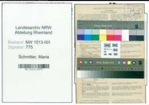 Entnazifizierung Maria Schmitter , geb. 14.08.1889 ()