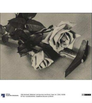 Stillleben mit Hammer und Rose