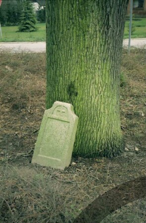 Stubbendorf: neben Bundesstraße 75: Friedenseiche: Detailaufnahme: Gedenkstein an Fuß des Baumes