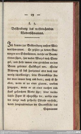 §. 2. Beschreibung des wohlriechenden Weidenschwamms