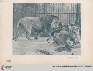[Heft 4 (15. November 1897)]