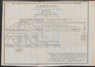 Aliqui gradus successionis legitimae Illmorum D. D. Baronum & Comitum Inclytae Madrutianae