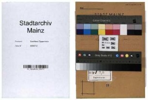 Donnerstag-Berichte über die kulturellen Einrichtungen der Stadt Mainz (ohne Schulen)