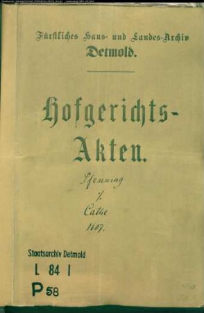 Pfennig, Bartold und Bartold Niggemann gegen Johann Cathe - Schuldforderung aus einer Bürgschaft