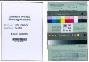 Entnazifizierung Wilhelm Sauer, geb. 01.11.1895 (Schreiner)