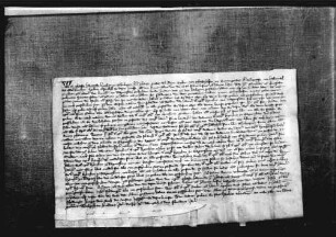 Drei Schiedsrichter vergleichen Ritter Eberhard von Mönsheim und seinen Bruder, den Kirchherrn Heinrich von Dagersheim, wegen des Widems zu Dagersheim.