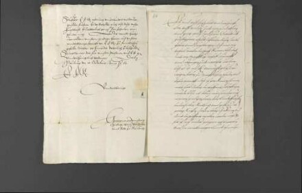 Statthalter und Räte zu Neuburg wenden sich bezüglich des Kaufs von Schafen an Herzog Christoph von Württemberg.