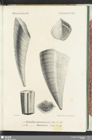 Pl. 543