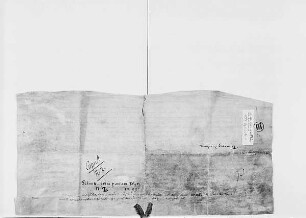 Dechant und Kapitel der St. Andreaskirche zu Köln vererbpachten eines jener Häuser, welche Tilmann de Columba und Aleydis erhalten haben, mit Genehmig