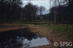 Potsdam, Park Sacrow, Thusnelda-Senke bei hohem Frühjahrsgrundwasser.