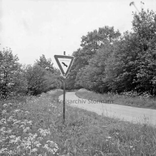 Brookweg in Naturschutzgebiet Hansdorfer Brook: vorn Hinweisschild: im Hintergrund Sträucher und Bäume