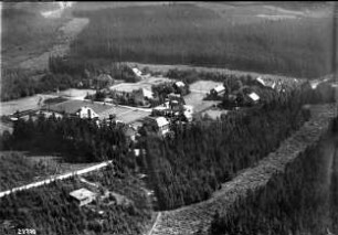 Falkenhain (b. Glashütte), Wald-Idylle