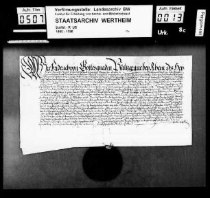 Pfalzgraf Friedrich bei Rhein belehnt den Grafen Wolfgang zu Löwenstein (Lewenstein), Herrn zu Scharfeneck, mit benannten Burglehen zu Oppenheim und Nierstein.
