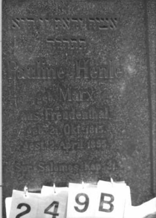 Grabstein 249 [Hahn S. 95 Grab-Nr. 896]: Grabstein 249B [Hahn S. 95 Grab-Nr. 896]