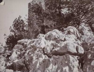 Ruine : Ruine auf Kalkklippen im Kiefernwald.