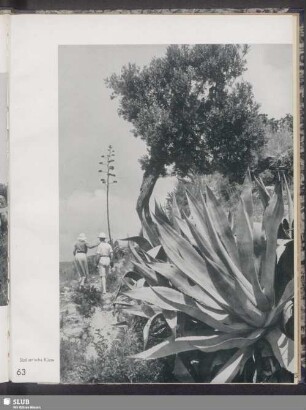 Sizilianische Küste