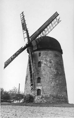Falkenhain-Voigtshain. Turmholländer