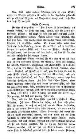 Achte Ordnung. Robben (Pinnipedia)
