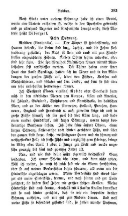 Achte Ordnung. Robben (Pinnipedia)