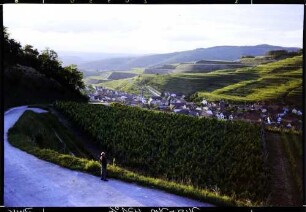 Bickensohl: Weinbergweg oberhalb Bickensohl