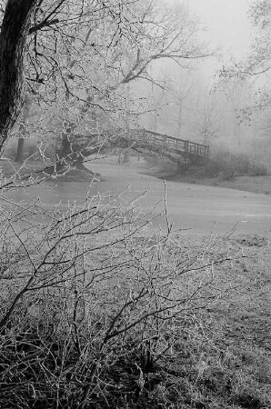 Holzbrücke im Johannapark, im Vordergrund vereiste Sträucher