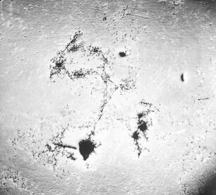 Aluminiumoxid-Einlagerungen in Flußeisen : Technikgeschichte | Stoffkunde und Materialprüfung | Stoffkunde | Metallographie | Der Einfluss der Bearbeitung