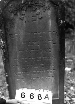 Grabstein 668 (Index: 100099713) Maße HxBxT: 125x55x16 cm Symbolik: Efeu: Grabstein 668A