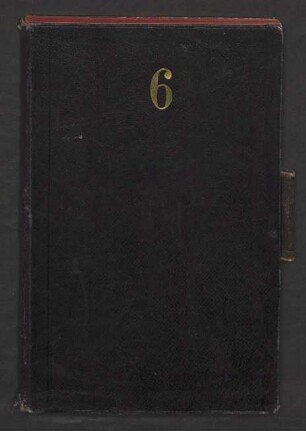 VI. Vogel-Tagebuch 3. August 1908 - 31. Dez. 08
