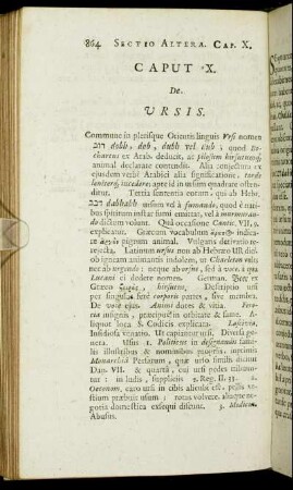 Caput X. De Ursis.