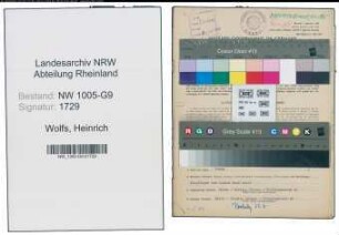 Entnazifizierung Heinrich Wolfs , geb. 29.01.1902 (Selbstaendig)