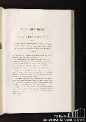 Pero del Duca o Pero Cento-Doppie