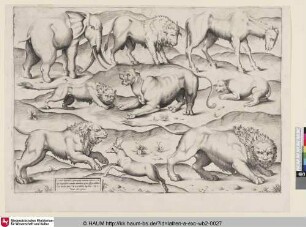 Ex ueteri hypocaust [Elefant, Löwe, Kamel, Gazelle]