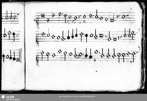 Adrian Willaert: Petite camusete