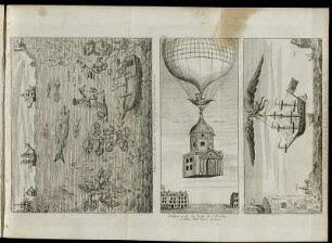 The Baron, College of Physicians, &c.