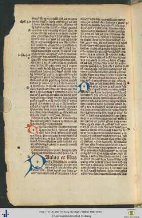 Epistola Pauli ad Thessalonicenses prima