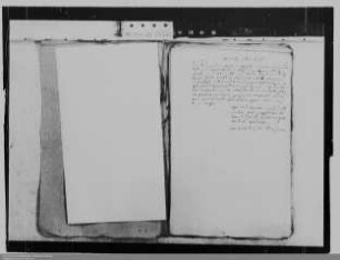 Marquise Charlotte Amalievon Westerloo ./. Agnaten des Hauses Nassau: Erbfolge im Fürstentum Nassau-Hadamar und Versorgung der Marquise