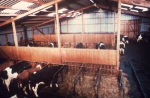 Fotografie: Liegehalle, Liegebox, Tiefbox