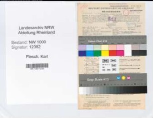 Entnazifizierung Karl Flesch, geb. 30.10.1887 (Landessekretaer)