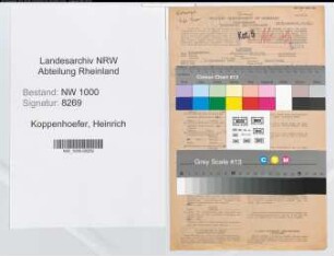 Entnazifizierung Heinrich Koppenhoefer, geb. 19.12.1889 (Kaufmann)