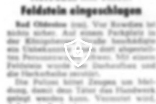 Autodach mit einem Feldstein eingeschlagen