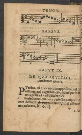 Caput IX. De Quadruplici punctorum genere.