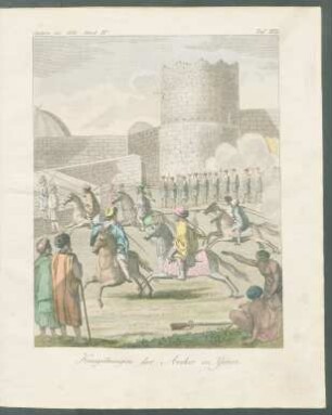 Tafel XVI. Kriegsübungen der Araber in Yemen.