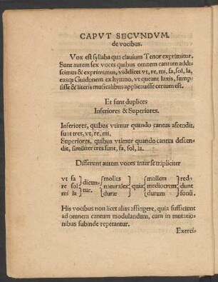 Caput Secundum. de vocibus.
