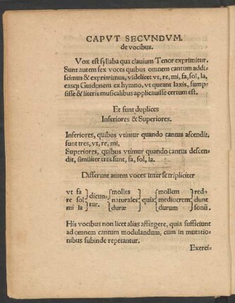 Caput Secundum. de vocibus.