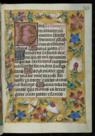 Inititalzierseite (Non): D(eus in adiutrium meum) ; Trompe l'oeil-Rahmen mit Blütenzweigen und Insekten