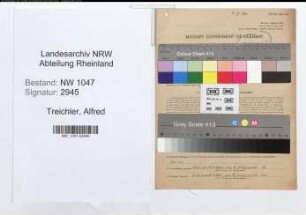 Entnazifizierung Alfred Treichler , geb. 30.04.1900 (Feuerwehrmann)