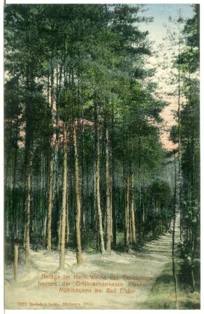 Mühlhausen bei Bad Elster, Im Heimwald des Genesungsheimes