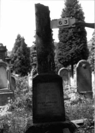 Grabstein 63 (Index: 100096188) Maße HxBxT: 193x54x23 cm Symbolik: Baumstamm: Grabstein 63