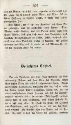 Dreizehntes Capitel